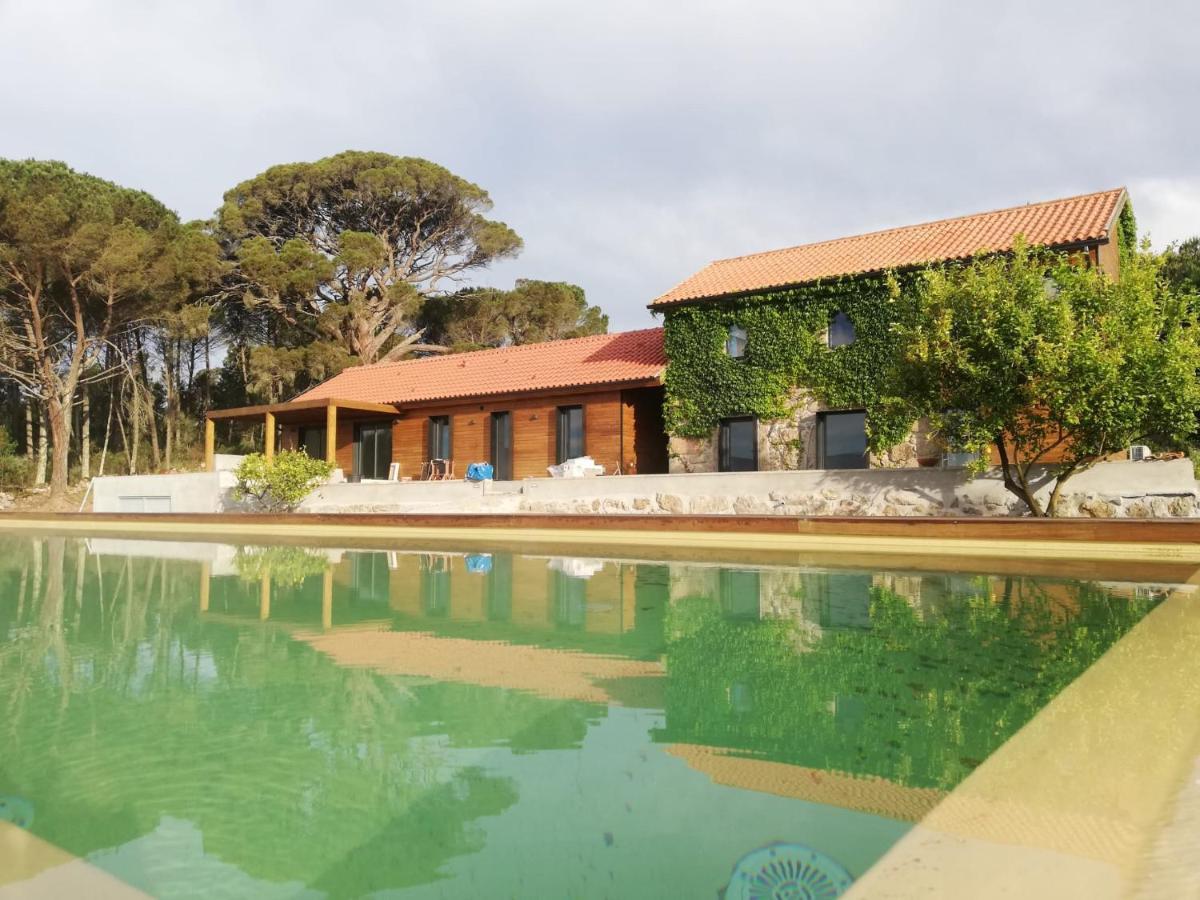 Casas Do Pinheiro Grande Villa Fornos de Algodres Ngoại thất bức ảnh