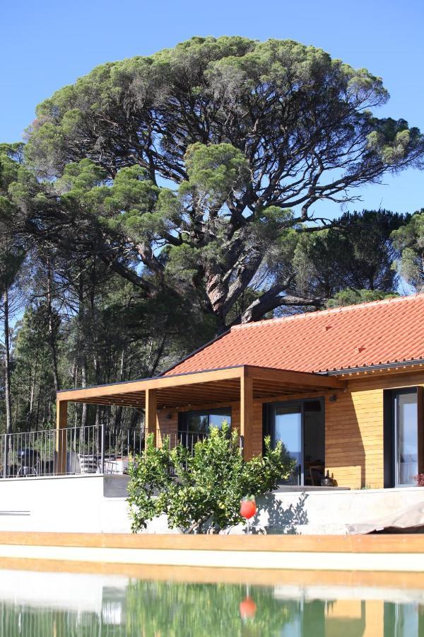 Casas Do Pinheiro Grande Villa Fornos de Algodres Ngoại thất bức ảnh